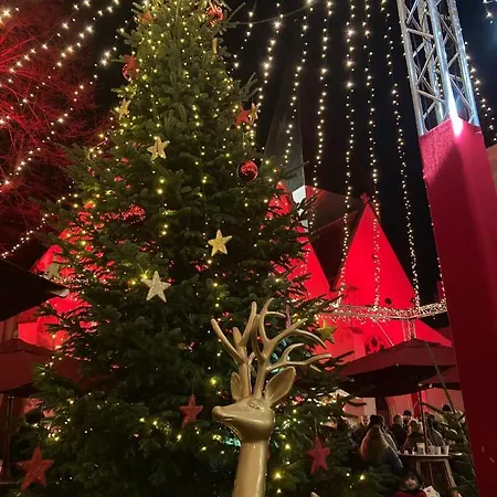 Gaestewohnung Lipperland דירה